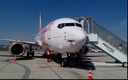 Entre 2021 e 2022 o total de ocorrências de colisões entre aviões e aves reduziu no Brasil - Cenipa