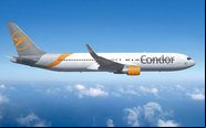 A companhia aérea poderá utilizar o Boeing 767-300 em três frequências semanais - Divulgação