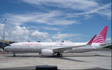 Boeing 737 MAX 9 recebeu pintura alusiva ao combate e luta contra o câncer de mama e próstata - Divulgação