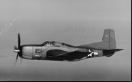 Ao final da Guerra apenas 28 dos 358 Douglas BTD Destroyer tinham sido entregues - US Navy