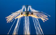 Holanda anunciou a compra de cinco C-390 da Embraer - FAB