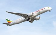 A aeronave poderá receber até 343 ageiros - Airbus/Divulgação