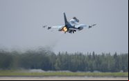 Exercício reúne em um só lugar diferentes modelos de aeronaves de combate - USAF