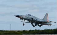 Os F-5N da US Navy são usados como "inimigos" dos F/A-18 Super Hornet durante treinamento - Us Navy