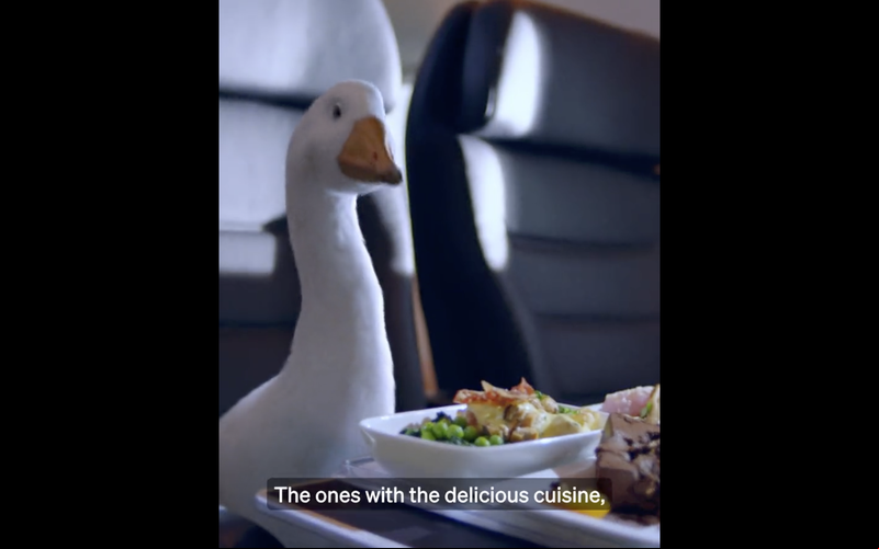 Dave afirma que serviço neozelandês é melhor que dos árabes - Air New Zealand