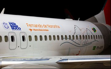 A Gol Aerotech, em Confins, foi responsável pela aplicação da nova identidade visual na aeronave - Gol/Divulgação