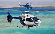 Uma empresa da Arábia Saudita fez um pedido de 120 aeronaves, sendo 18 delas firmes - Airbus/Divulgação