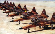Versão do F-5 acidentando foi bastante comercializada pelo mundo, inclusive pelo Brasil - Via Internet