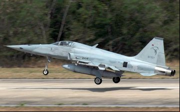 Imagem Caça F-5 Tiger da Tailândia cai durante voo de treinamento