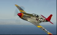 P-51C do CAF ostenta as cores do importante esquadrão Tuskegee Airmen que combateu na Segunda Guerra Mundial - Jeff Berlin/CAF