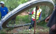 Fragmentos de um anel de separação de foguete, de 450 kg, caíram em uma vila - Reprodução/Redes Sociais