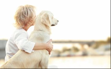 ANAC está recebendo sugestões da população sobre o transporte aéreo de animais - Royal Canin