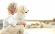 ANAC está recebendo sugestões da população sobre o transporte aéreo de animais - Royal Canin