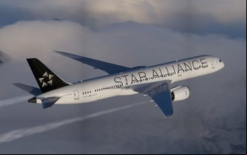 13 companhias aéreas da aliança também foram premiadas - Divulgação