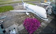 Cada aeronave pode transportar até 51 toneladas de carga por até cerca de 4.000 km - Airbus
